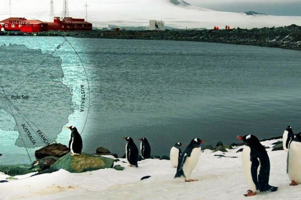 Diseño sin título (21)